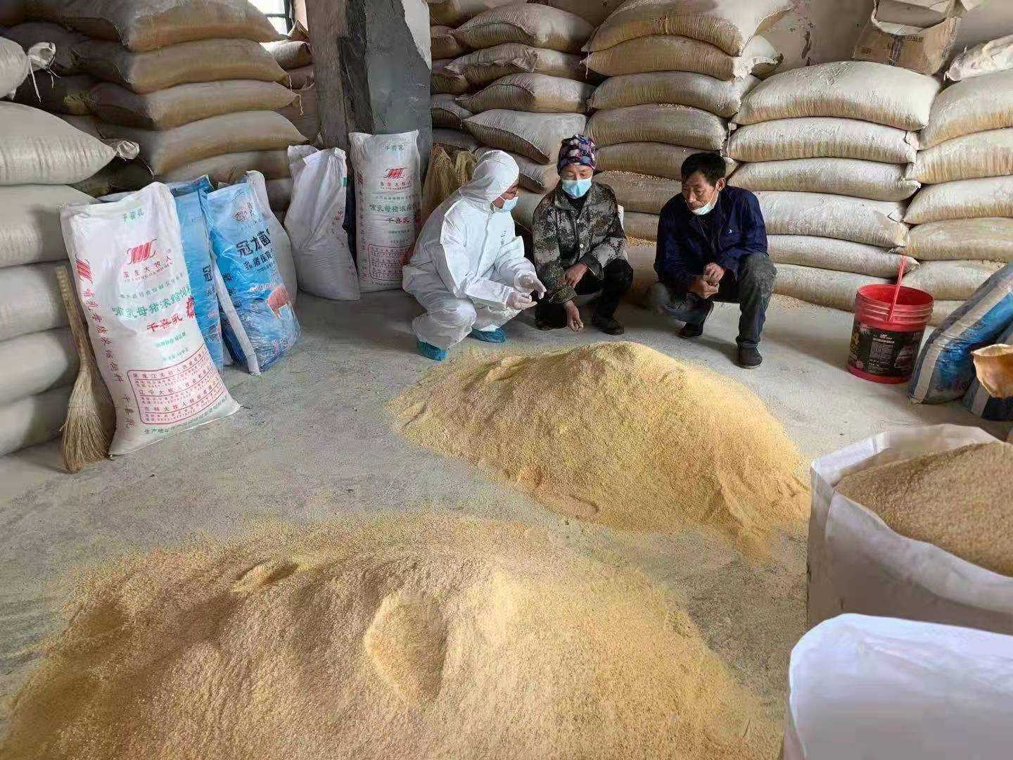 奮進(jìn)紅興隆 | 唱響雁鄉(xiāng)新牧歌——聚焦畜牧業(yè)轉(zhuǎn)型升級的“八五三探索”與畜牧漁業(yè)飼料銷售